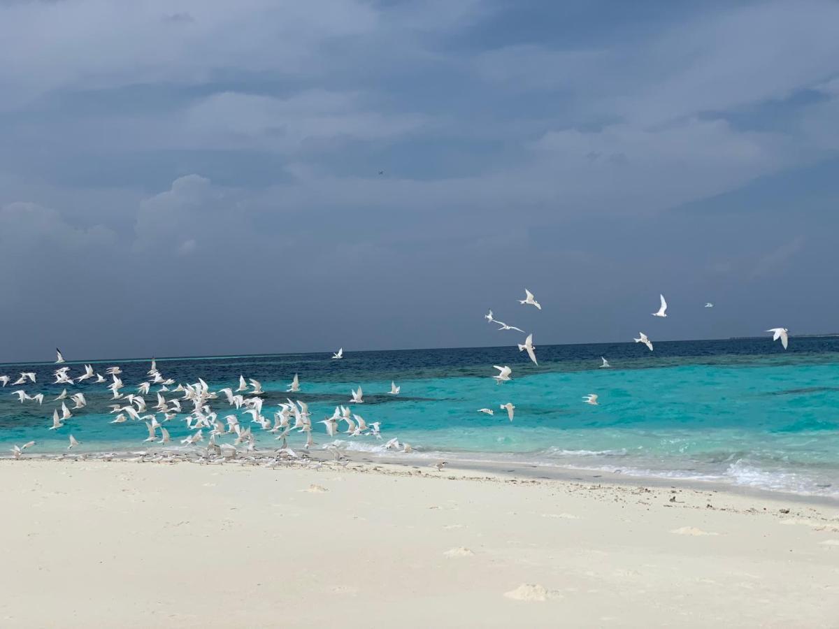 Perla Dhangethi Eksteriør bilde
